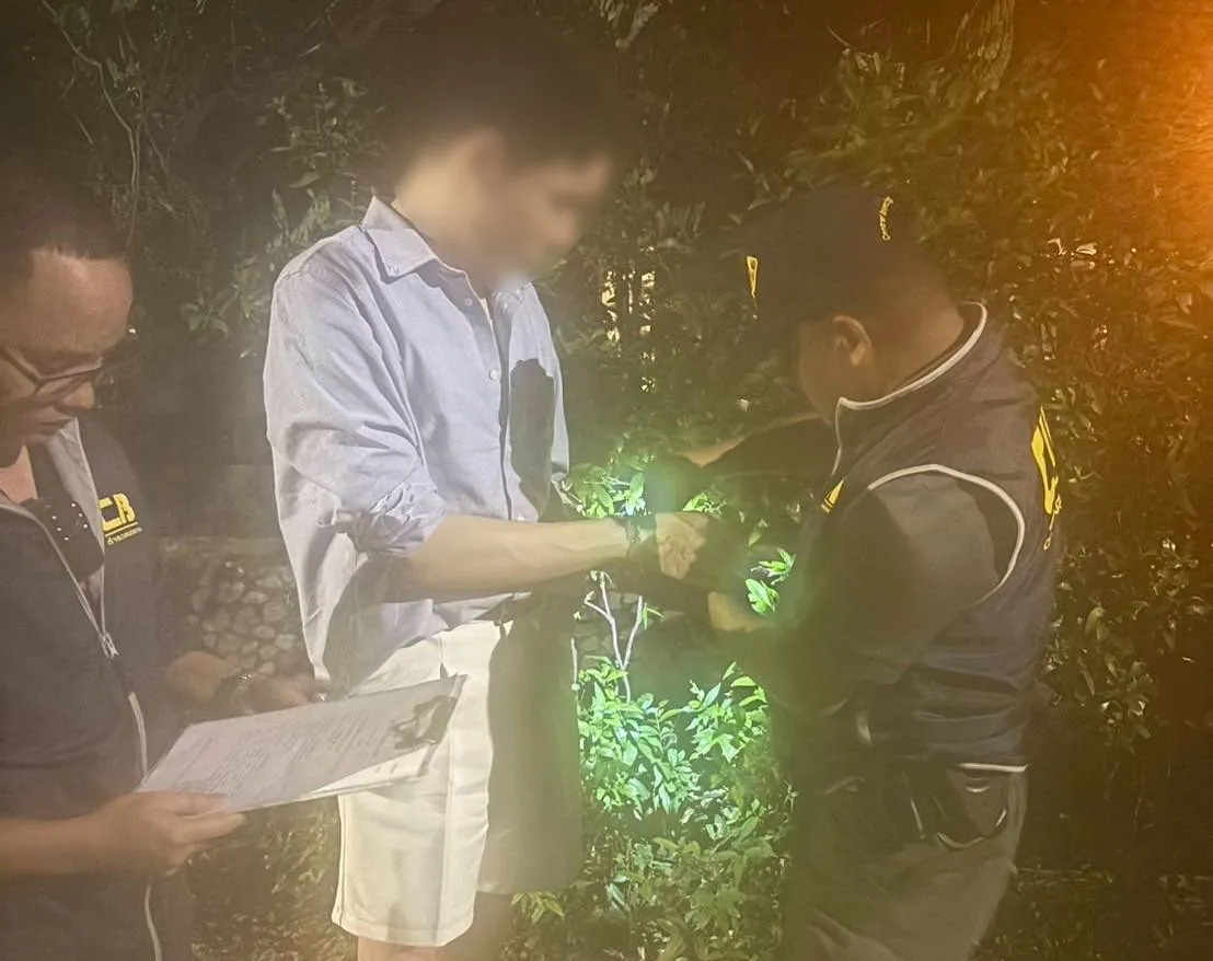 S2511178