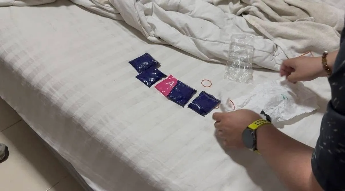 6251610731221548827824088386439601873520102616n