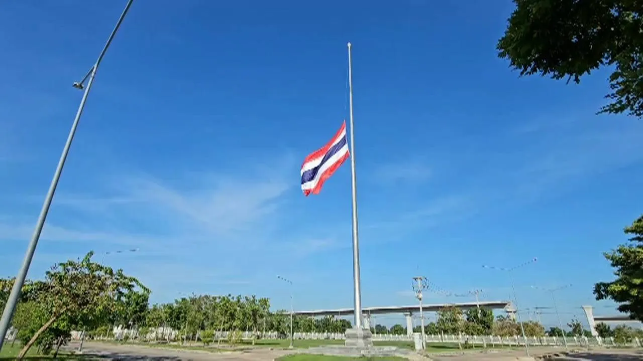20356960