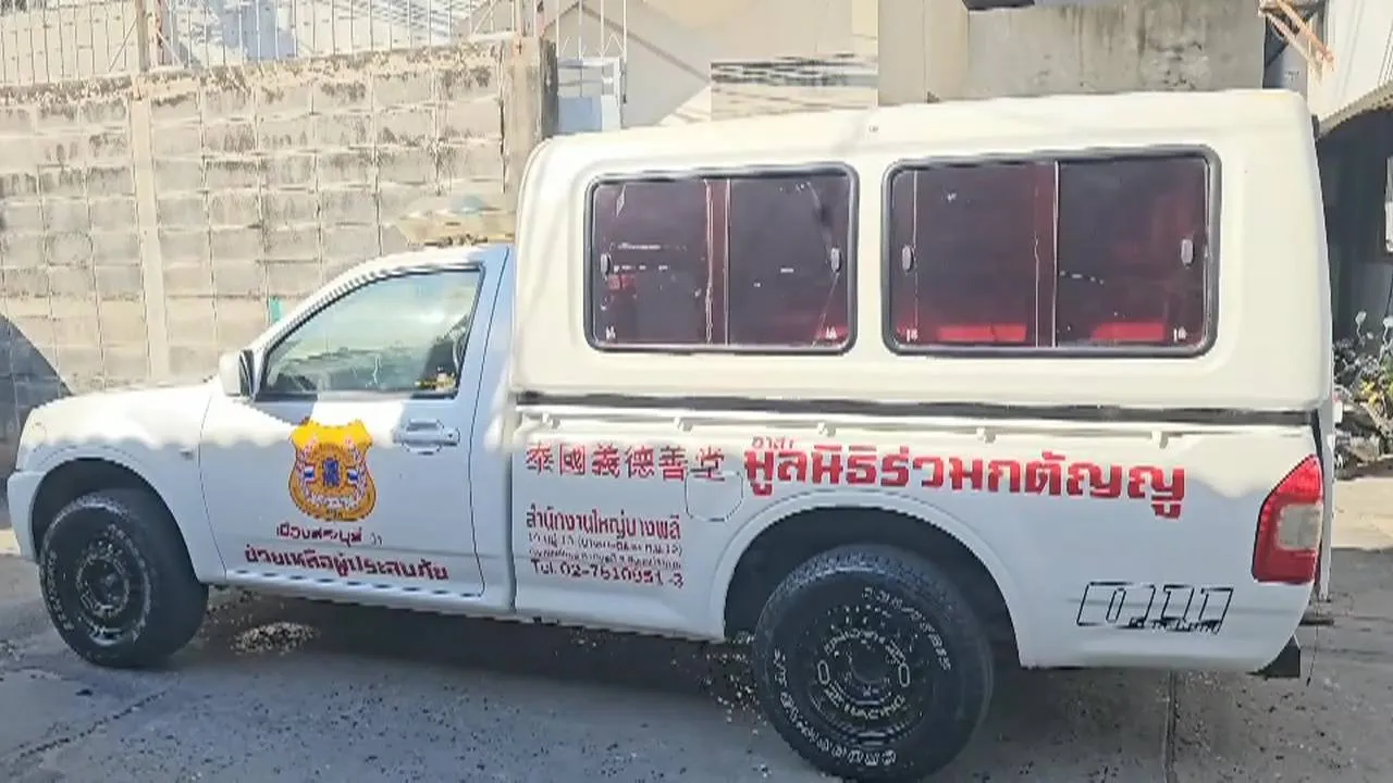 21797570