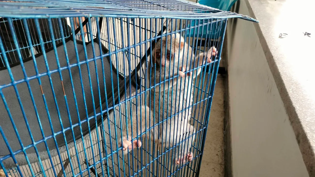 5620730