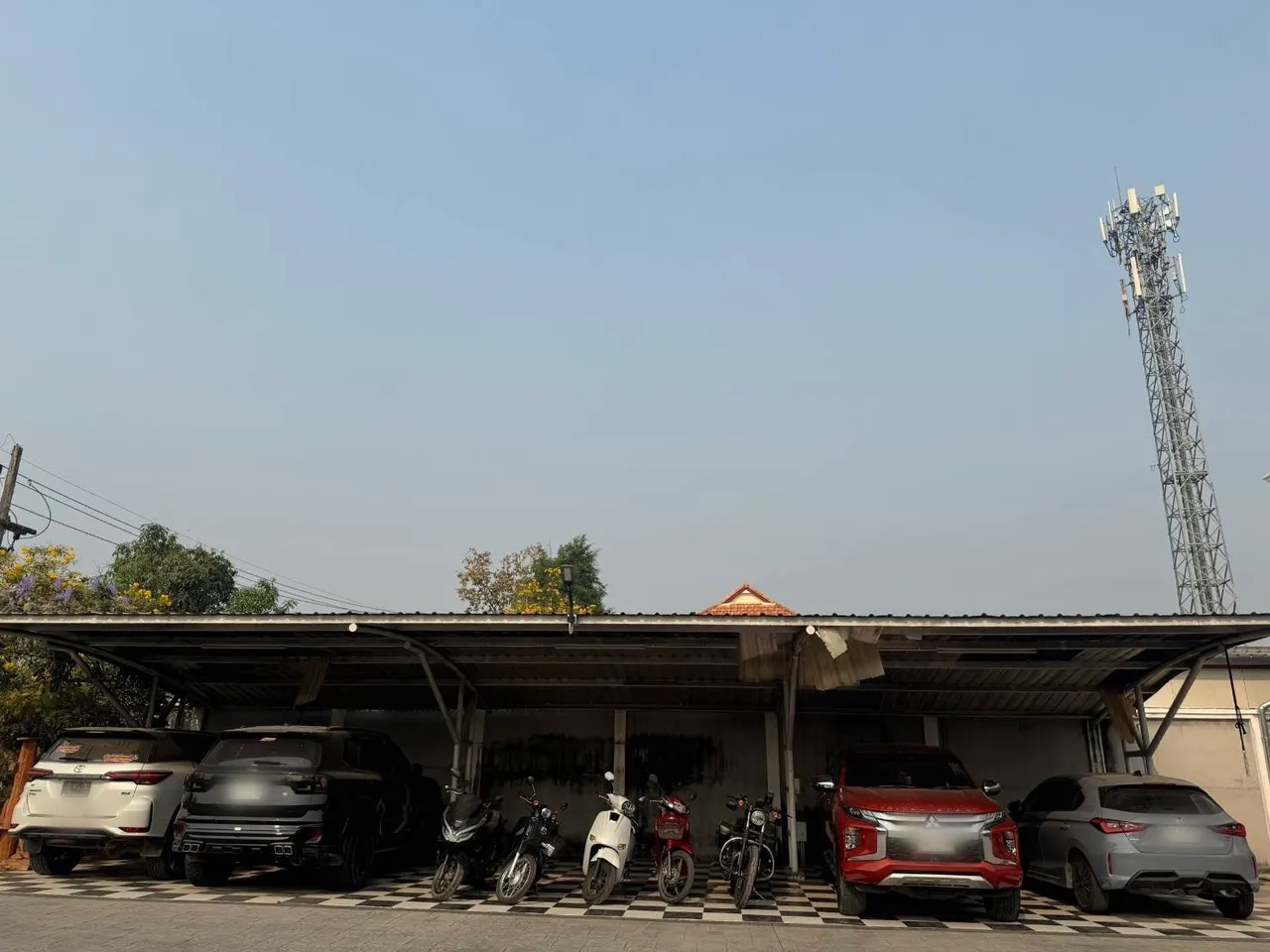 S51364250