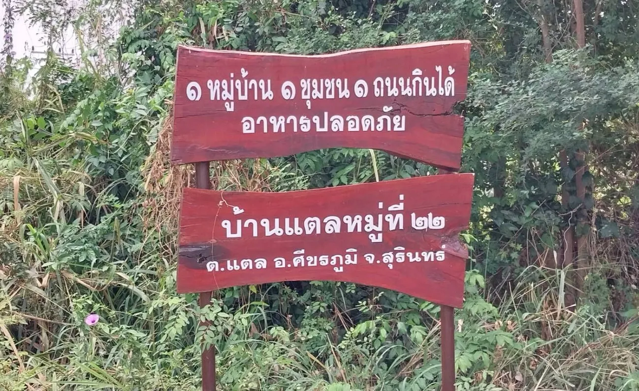 14561050