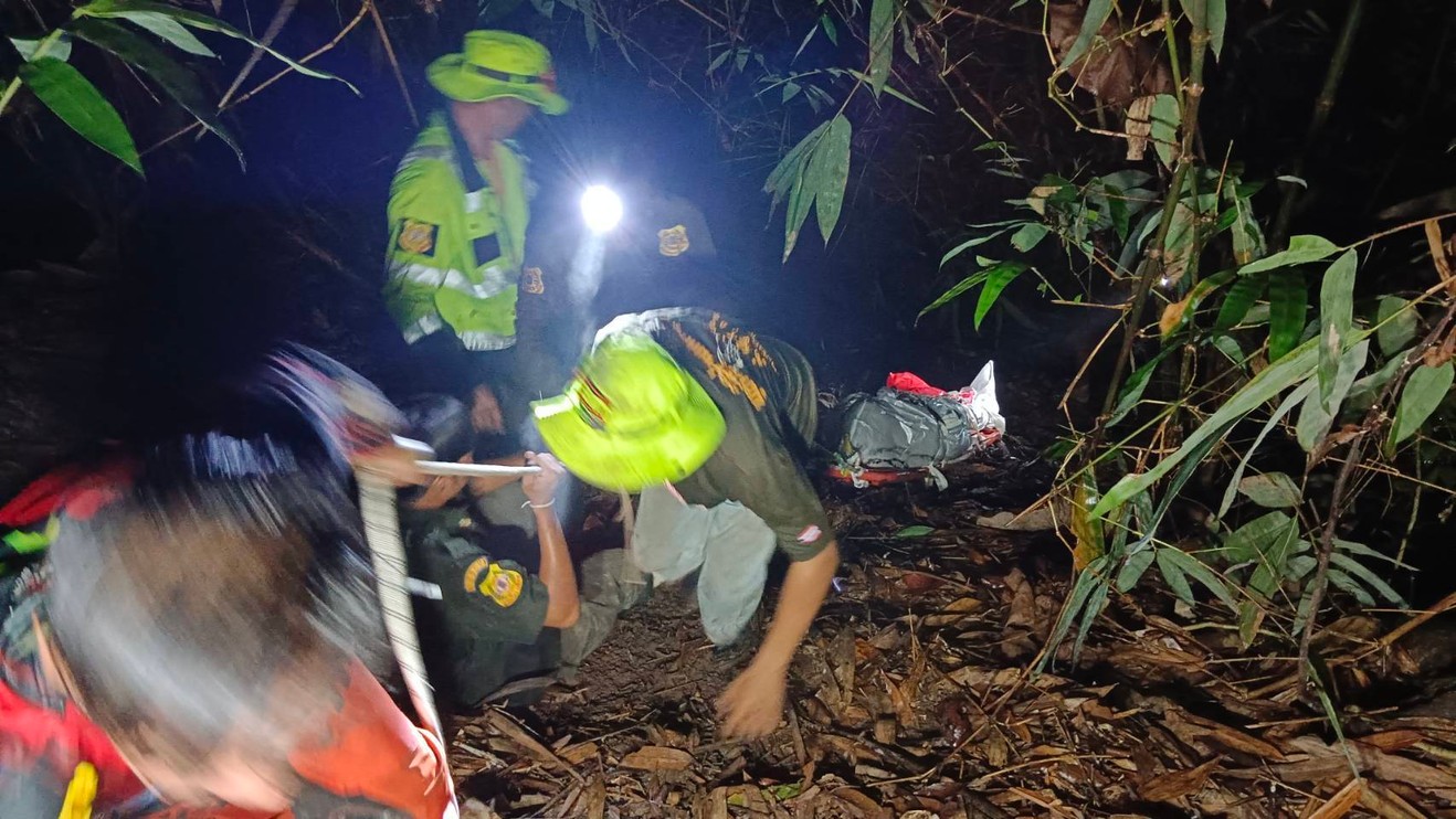 Thai motorbike rider dies while fleeing wasps