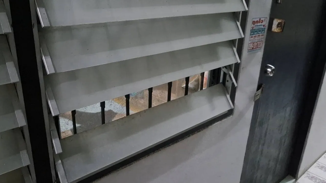 245025800