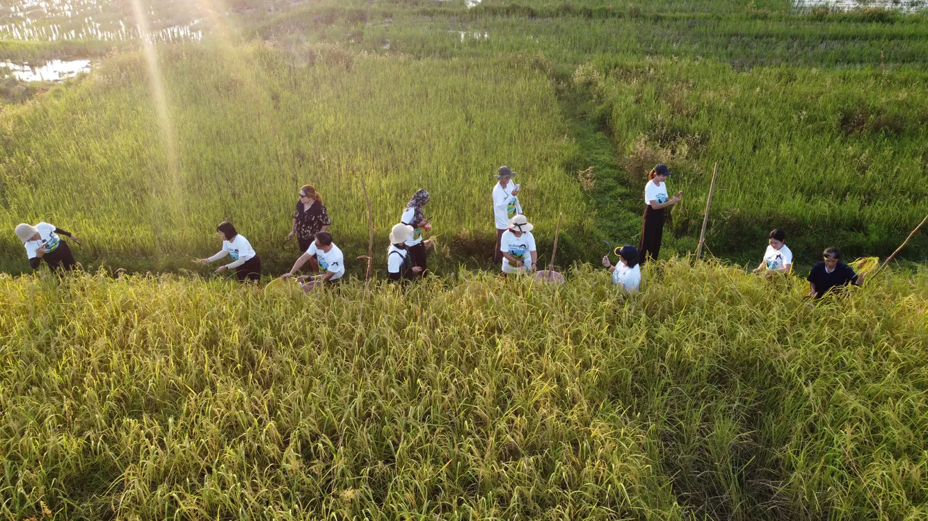 สำเนาของDJI09320