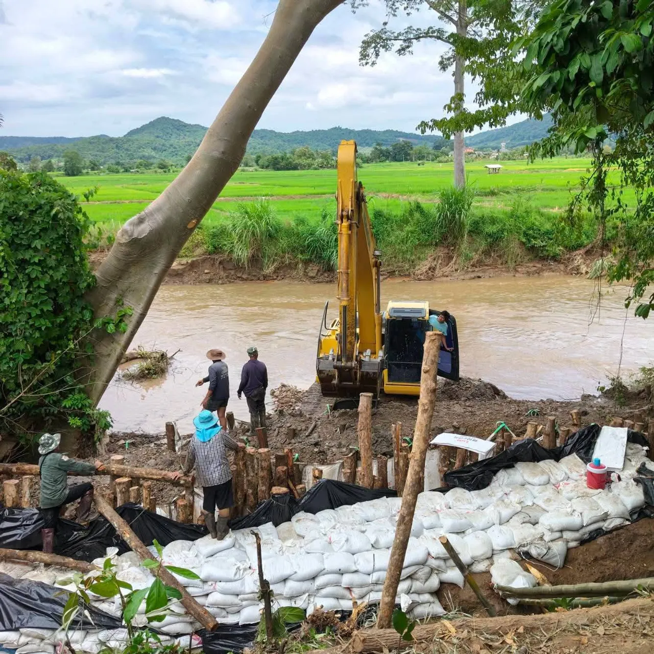 0.01_0