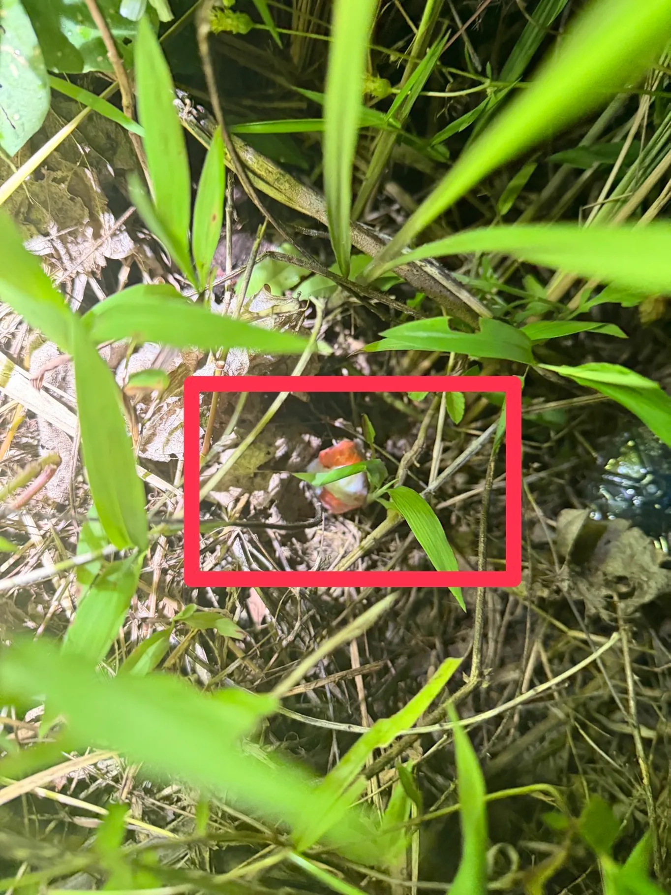 S__26575440_0