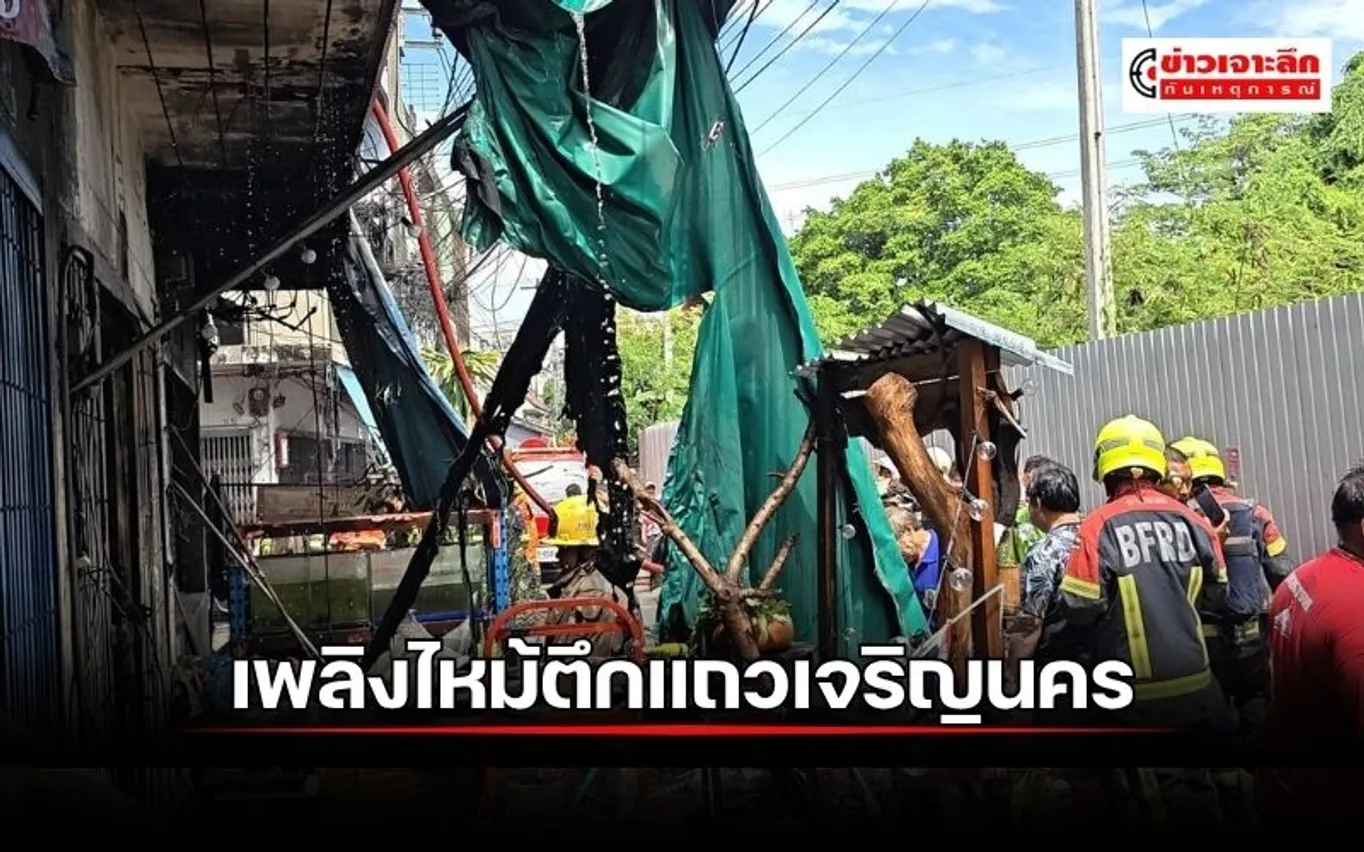 ข่าว (12)