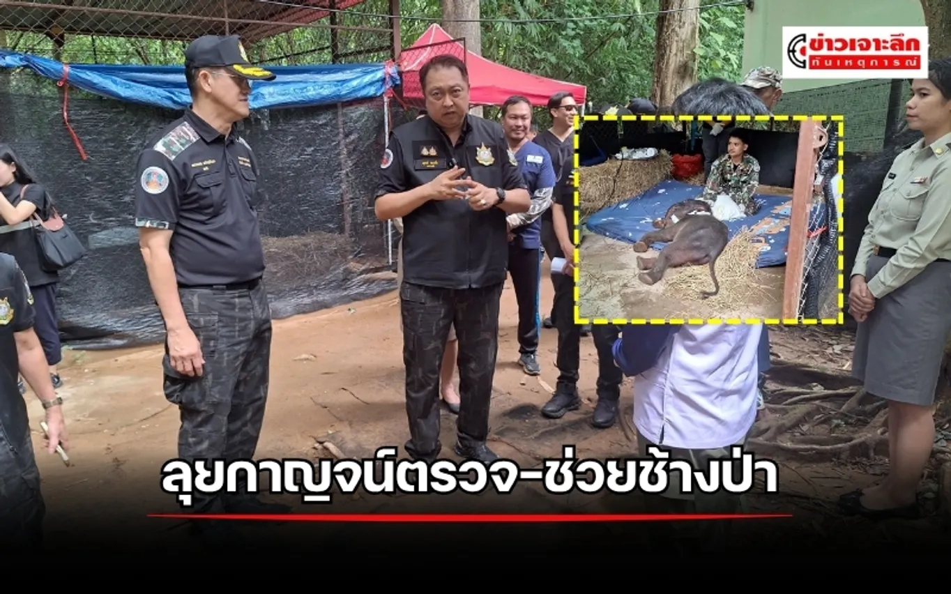 ข่าวเจาะลึก 1 (33)