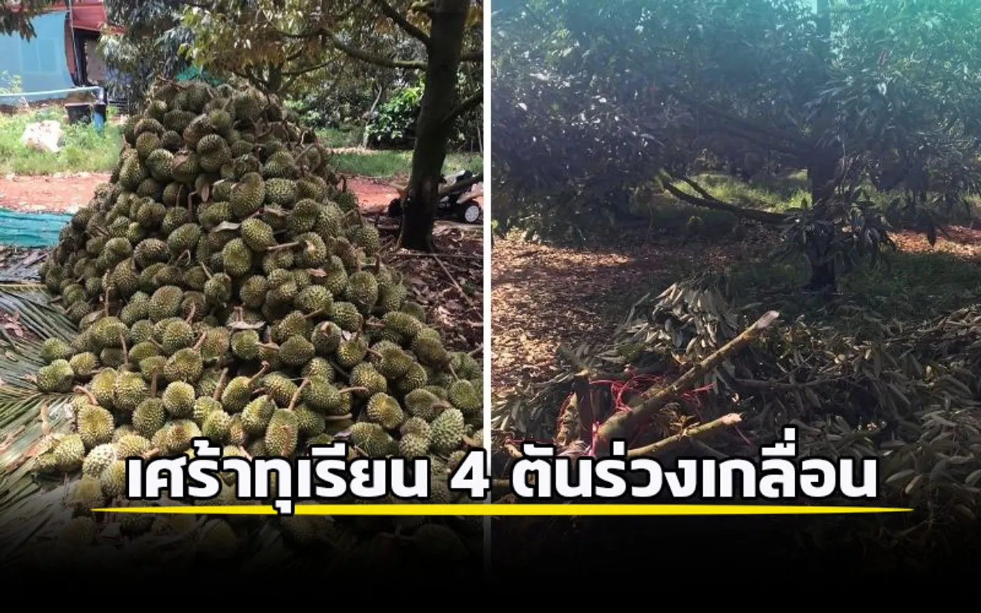 007