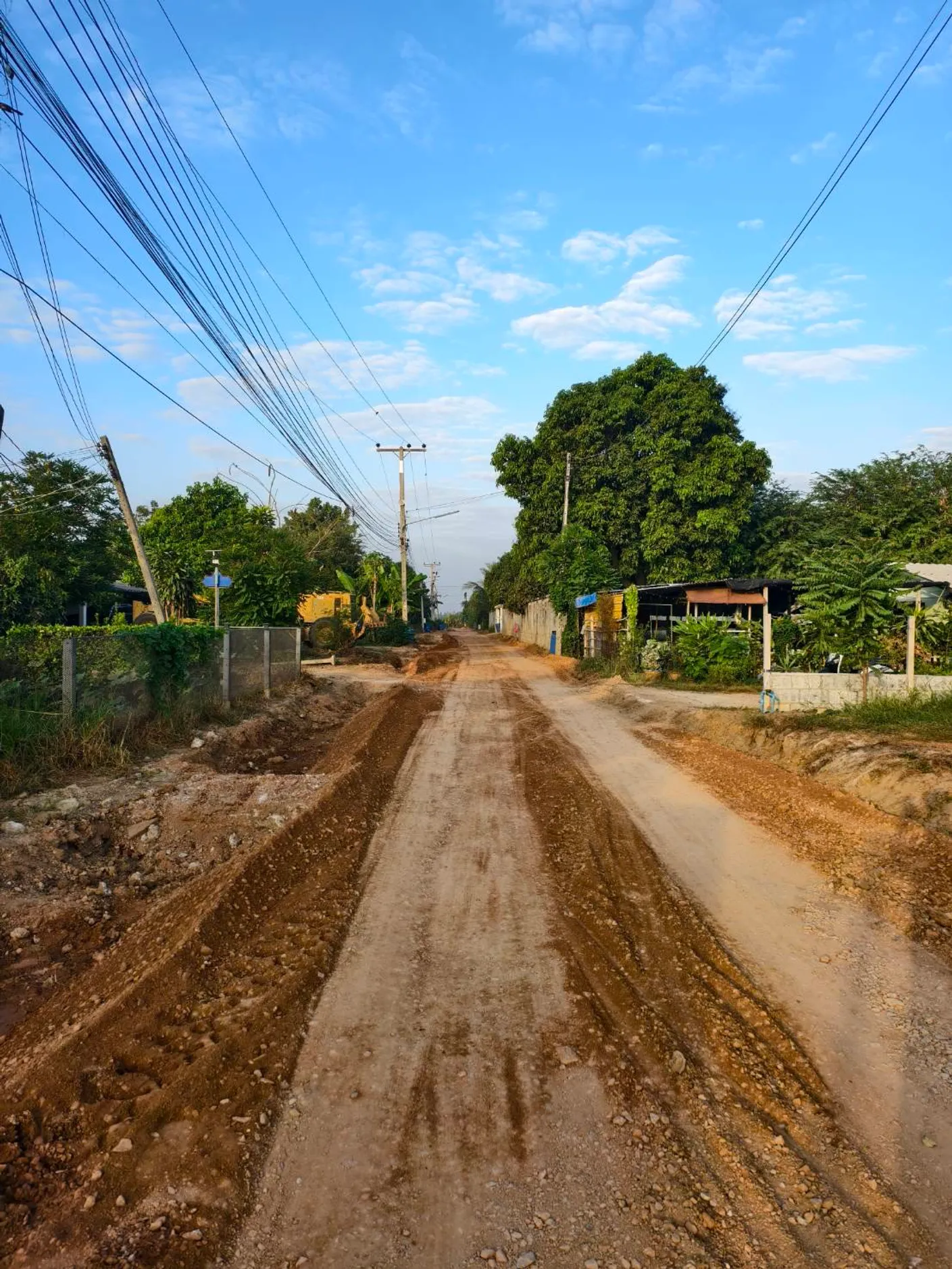 S169107556