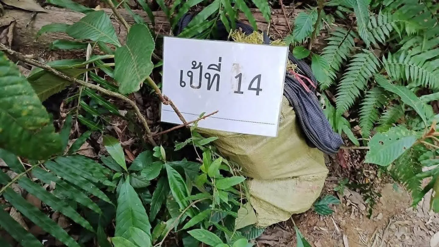 659191542122150772482414848629765396350819270n