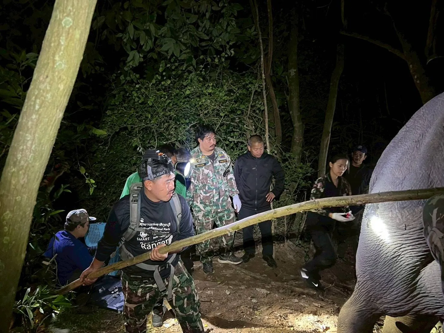 5495310