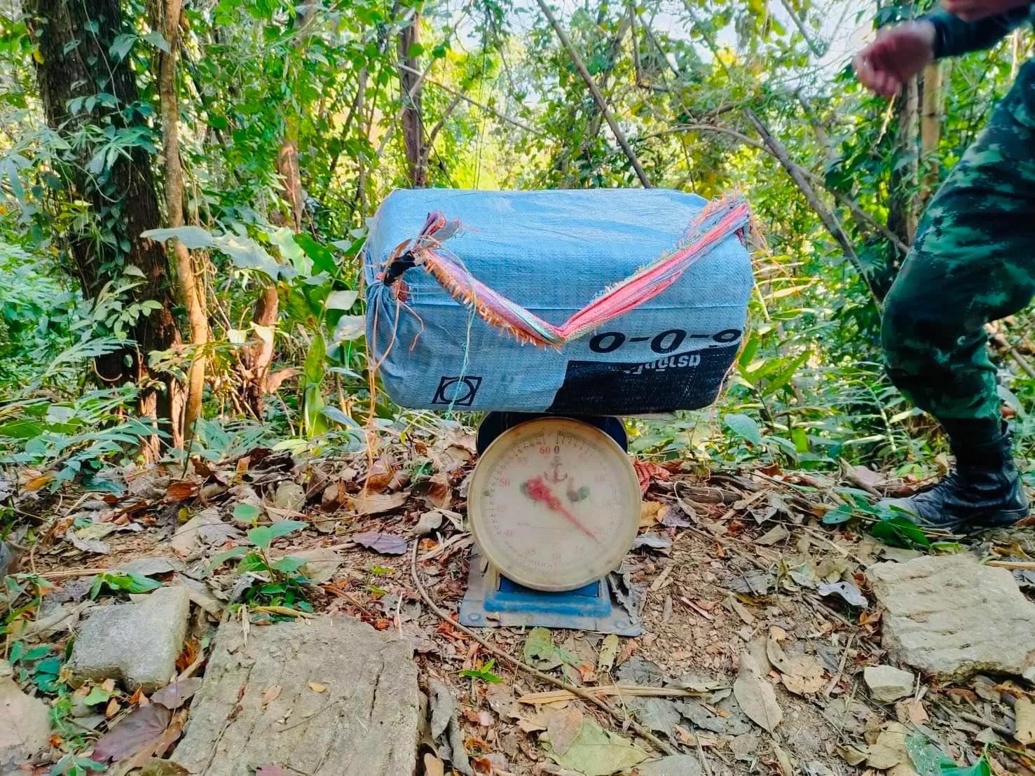 6