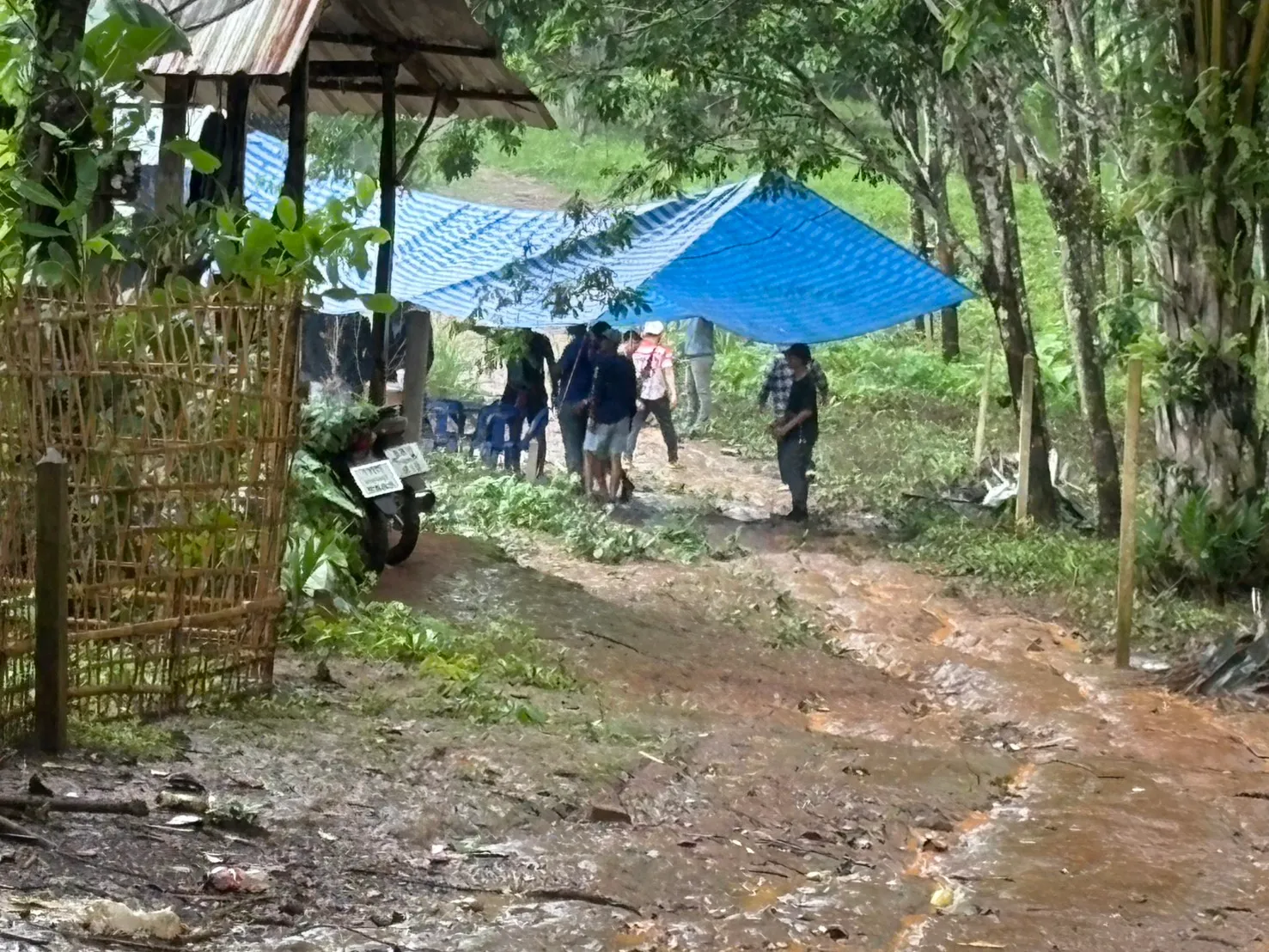 S208240790