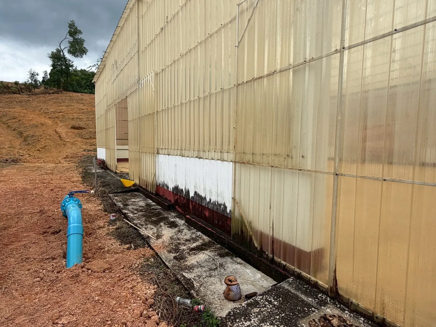 S3957556300