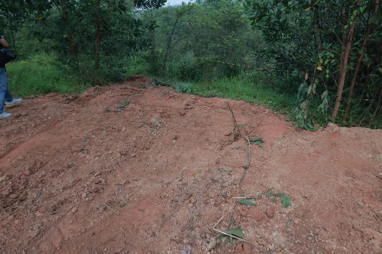 S684032660