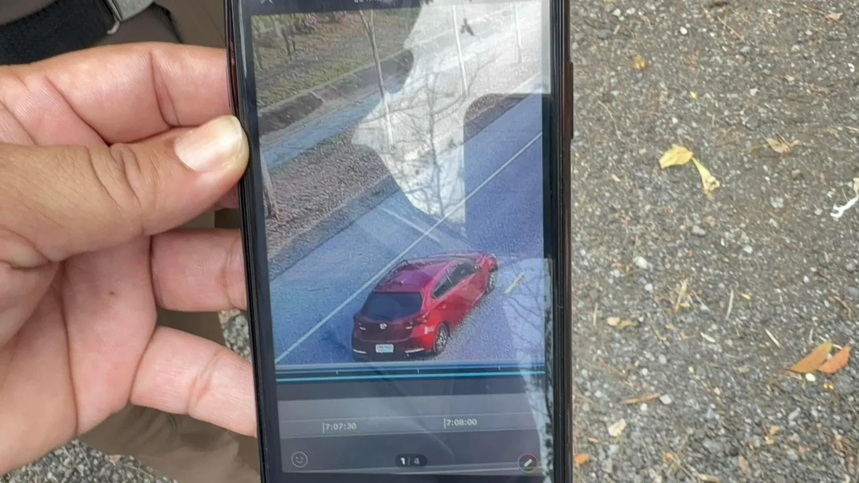 S236667030