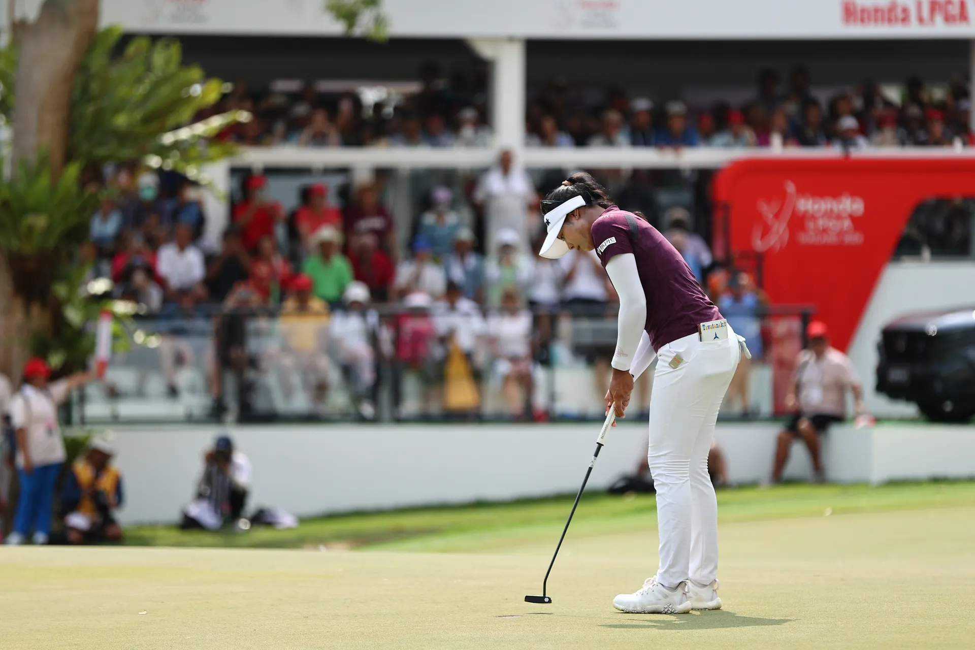 HLPGA2024(11)0