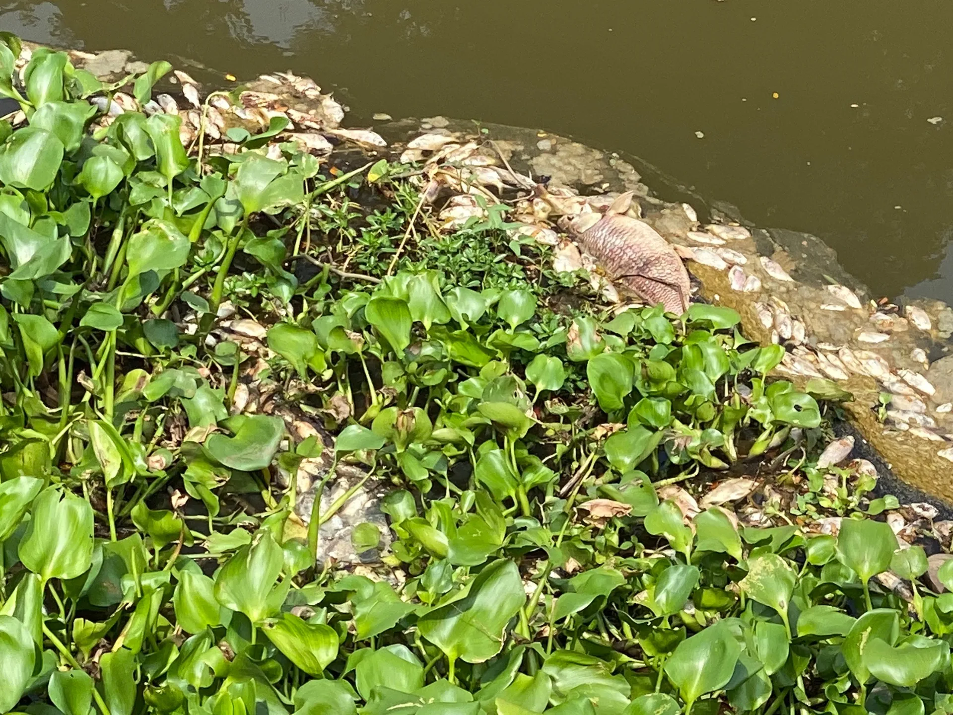 S4834509140