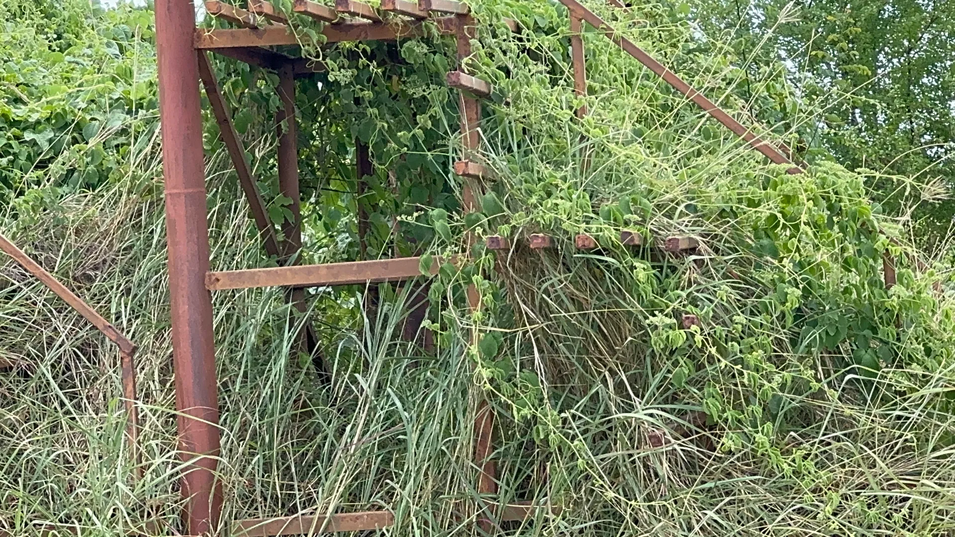 S88720930