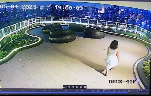 S834438580