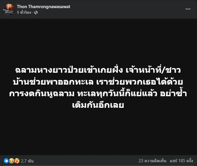 1733904047869