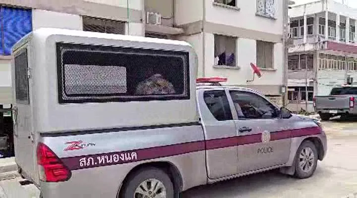 18952460