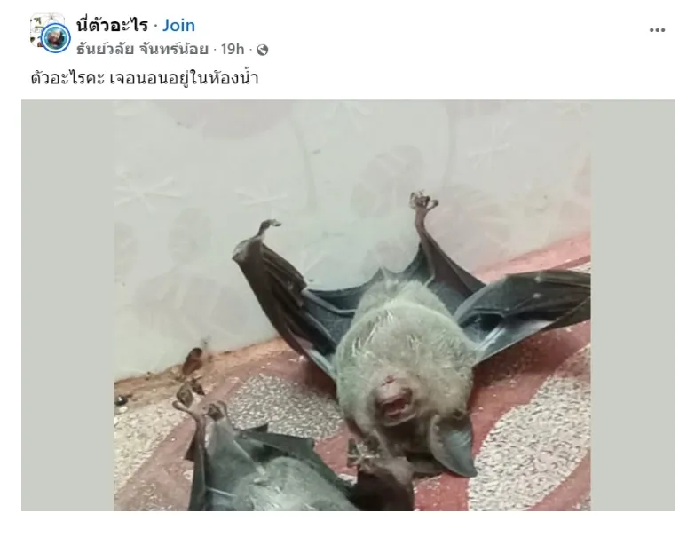 1752739311794