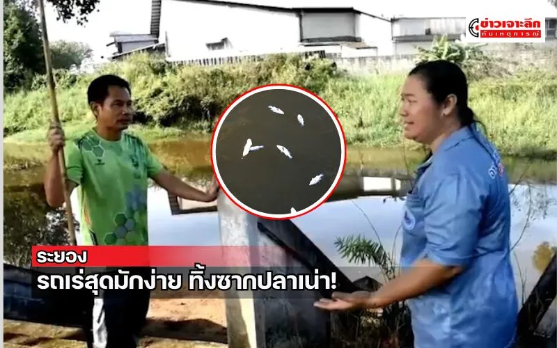 ข่าวเจาะลึก 1 (1)
