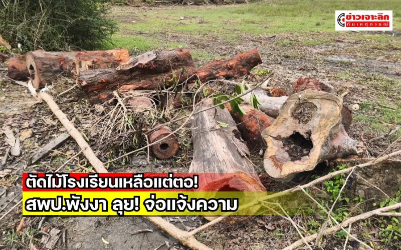 ข่าวเจาะลึก 1 (10)