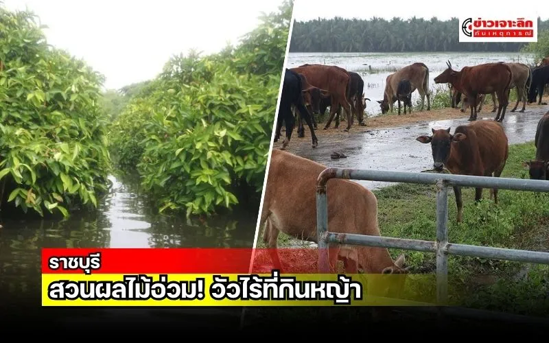 ข่าวเจาะลึก 1 (12)
