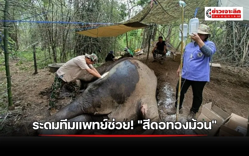 ข่าวเจาะลึก 1 (13)