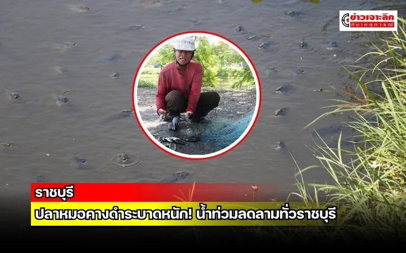 ข่าวเจาะลึก 1 (16)
