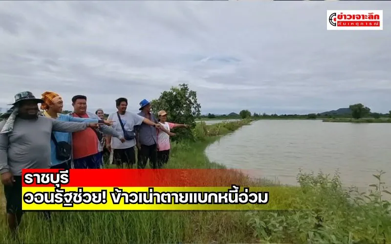 ข่าวเจาะลึก 1 (16)