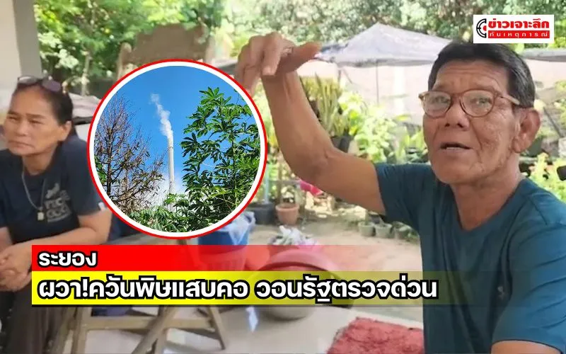 ข่าวเจาะลึก 1 (17)