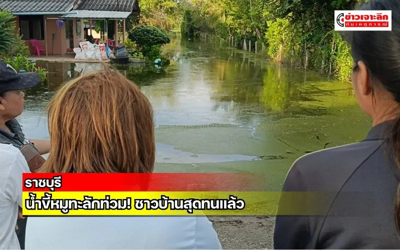 ข่าวเจาะลึก 1 (5)