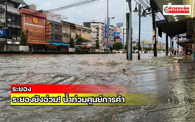 ข่าวเจาะลึก 1 (5)