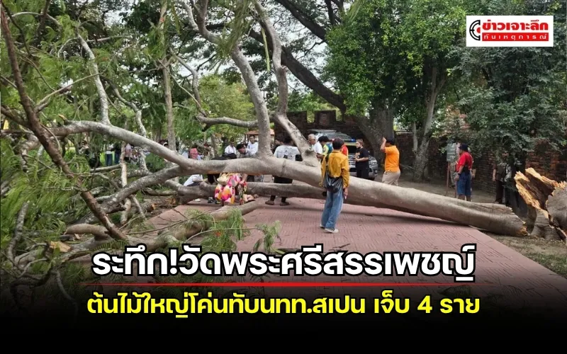 ข่าวเจาะลึก 1 (8)