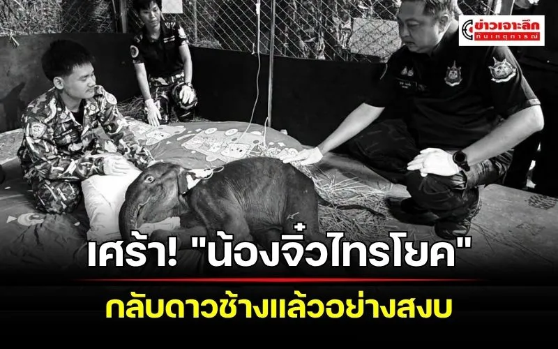 ข่าวเจาะลึก 1