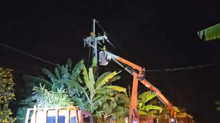 2364141