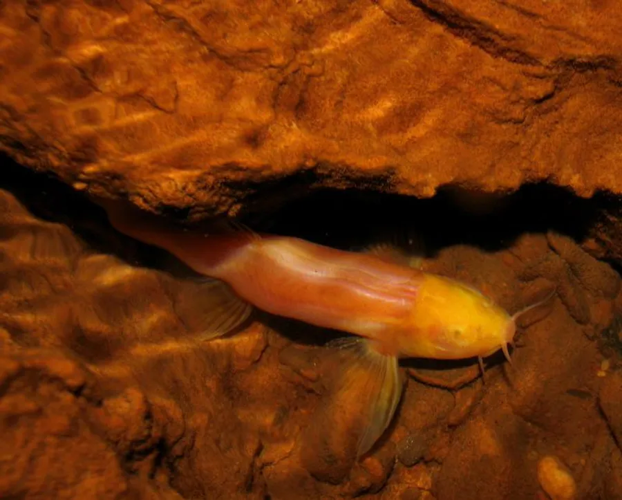 iTopPlus1466175357108