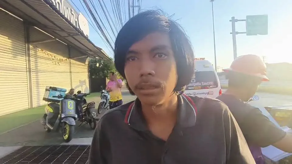 16295810