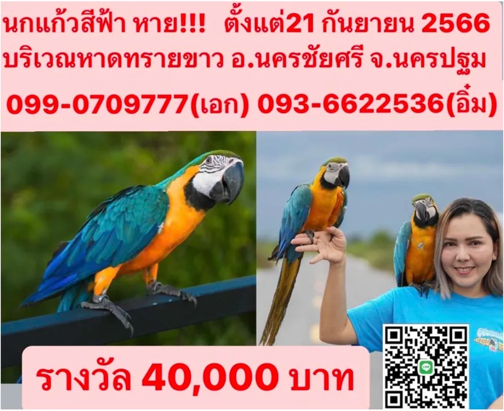 1696671742235