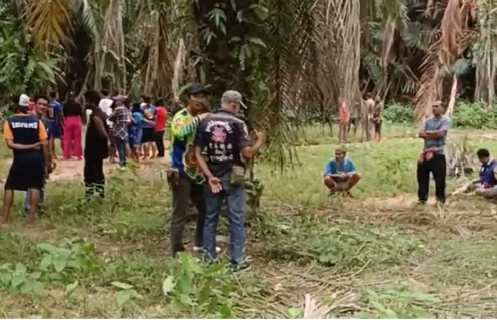 1703492384839