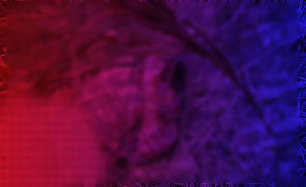 17046168851030
