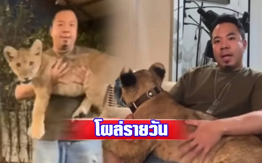 1706261665794