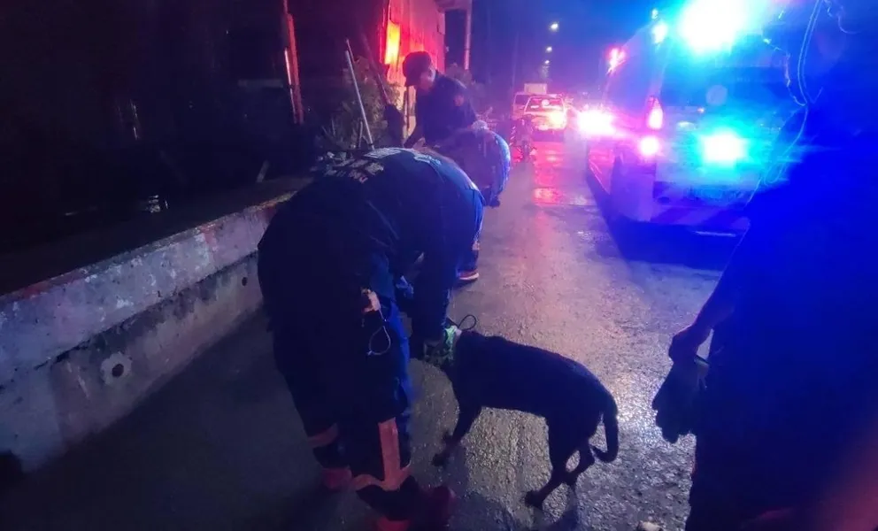 1724126857641