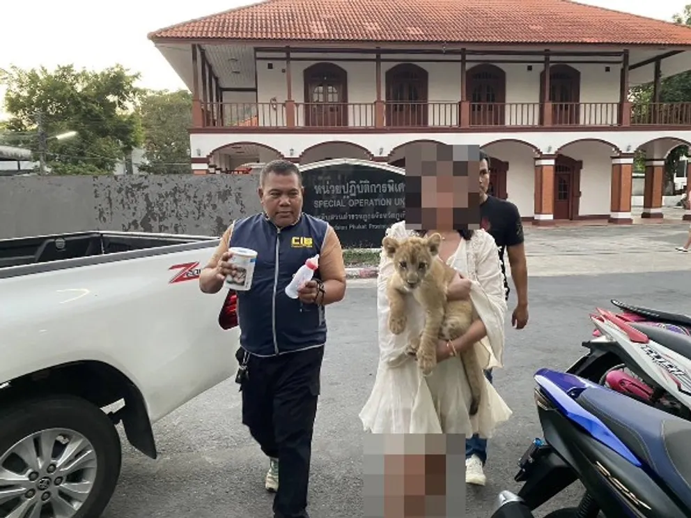 messageImage1707839350876
